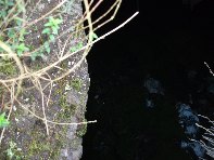 otta Forcato20110213 028
